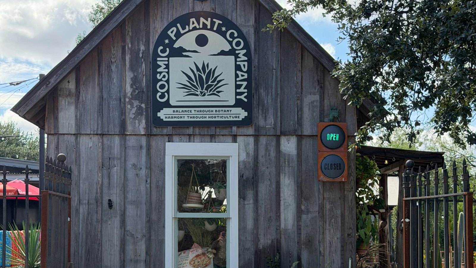 Cosmic Plant Company in Gruene, Texas
